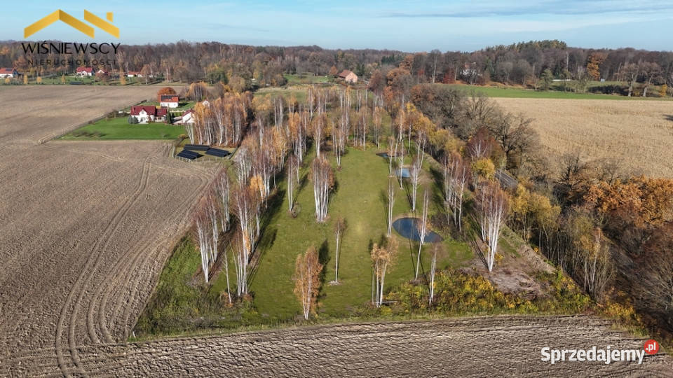 Buduj w Dawidach 3001 m z WZ Dawidy sprzedam