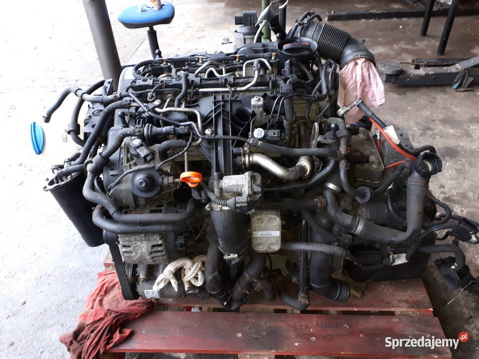 Kolektor ssący 03l129711A Volkswagen Skoda Seat Warszawa