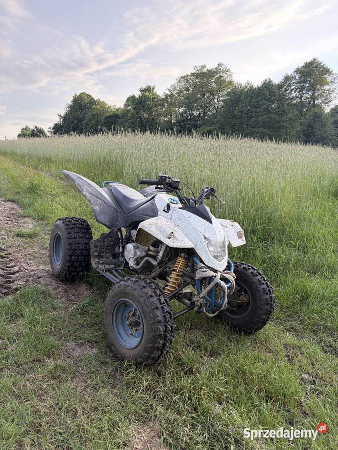 SMC Barossa 250cc wsteczny hak Słopiec sprzedam