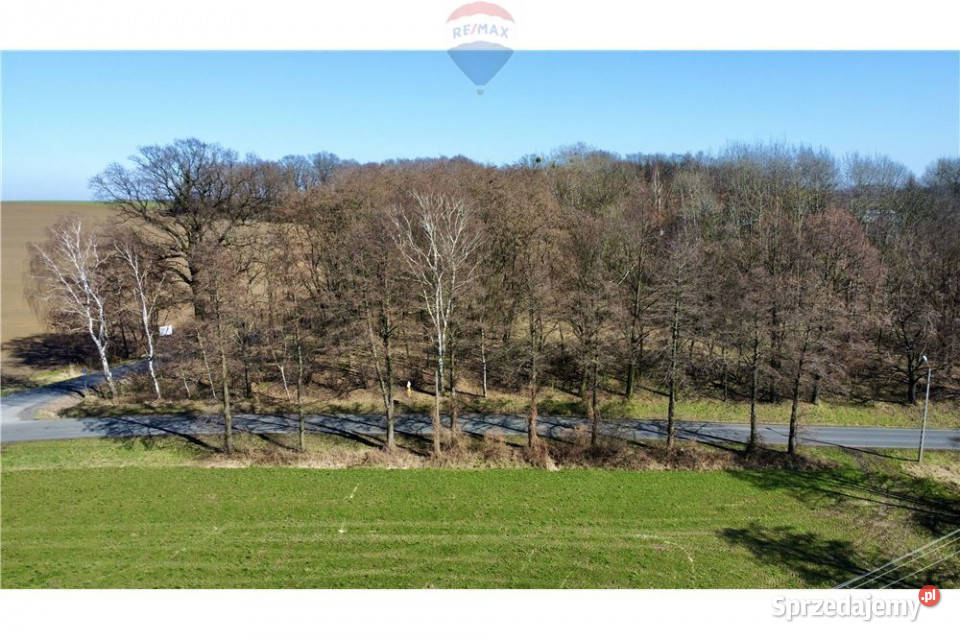 Działka usługowa Osiek kKęt