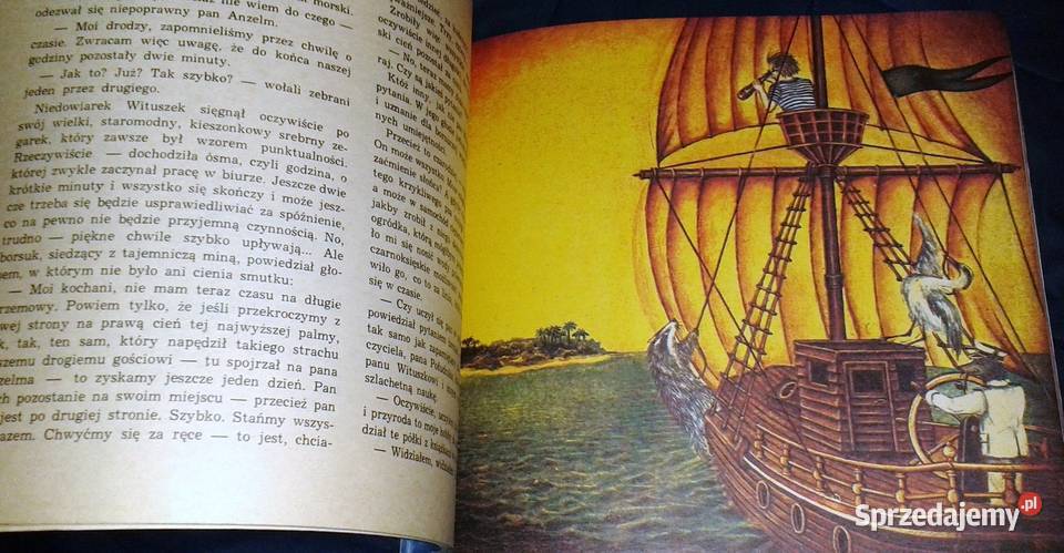 Godzina dwudziesta piąta Wojciech Janota Chełm sprzedam