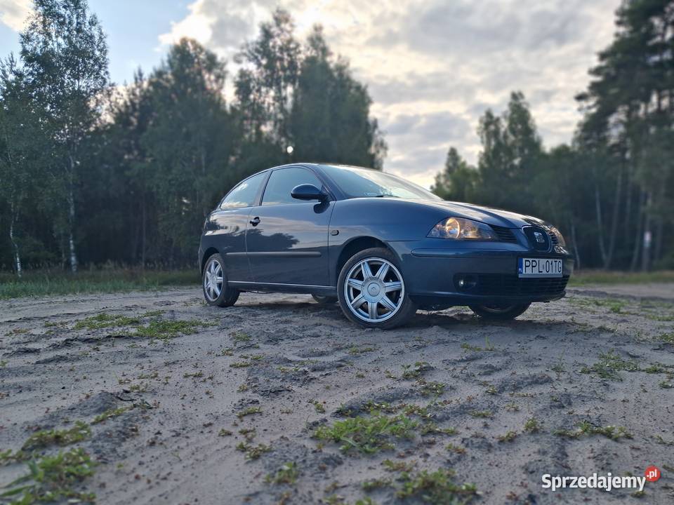 Seat Ibiza wielkopolskie Śrem