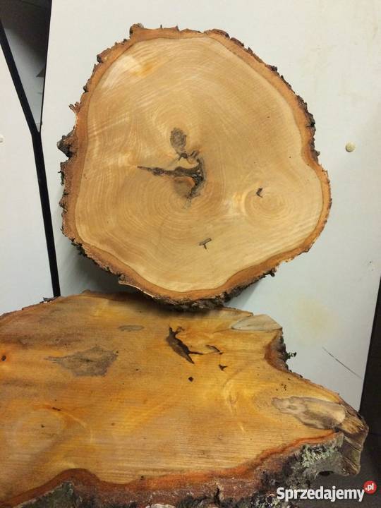 Plastry drzewa fleki drewno krojone płaskie Czarne