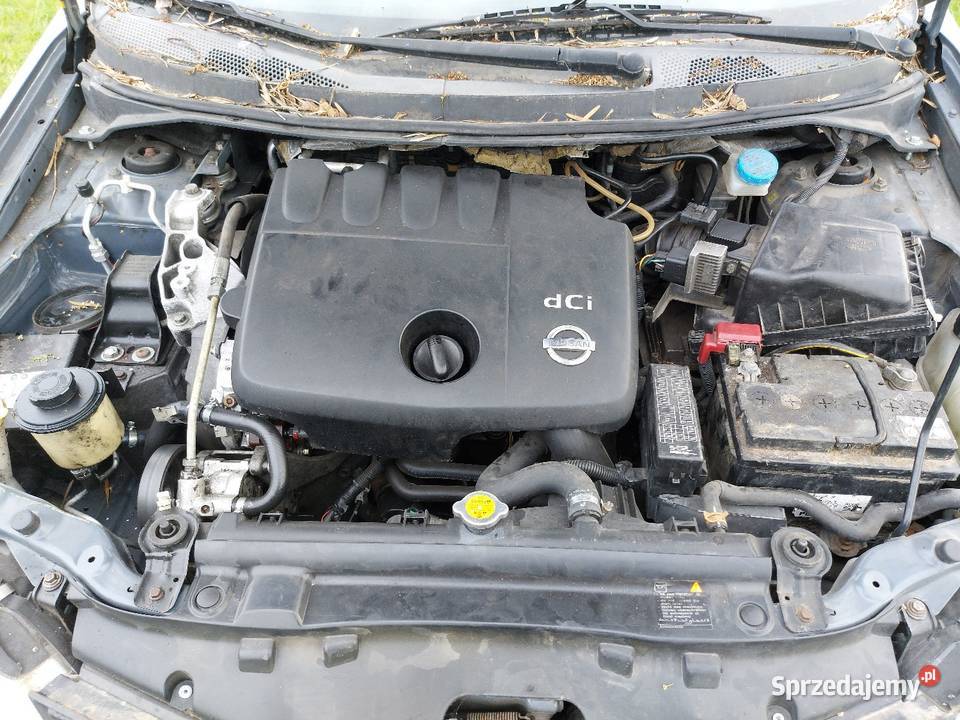 Primerra P12 2006r 19DCI KY5 G drzwi maska Pozostałe lubelskie Hańsk Pierwszy sprzedam
