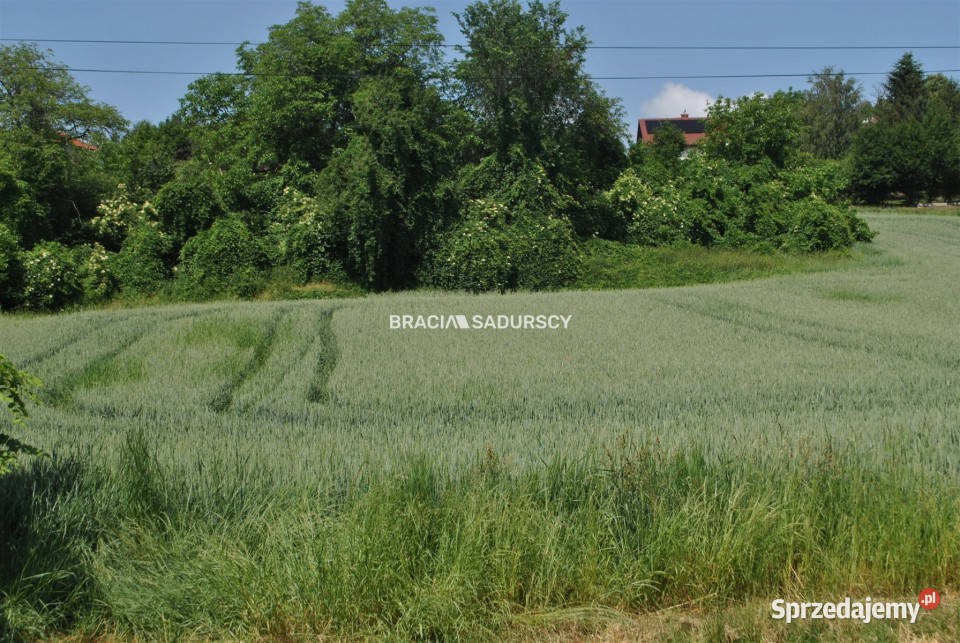 Działka Brzezie 4719 metrów 61m