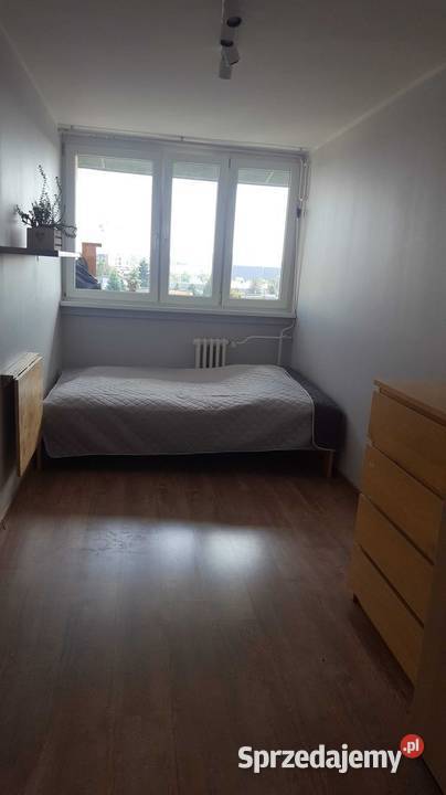 3pok 54met Na Ostatnim Groszu BALKONPIWNICA dolnośląskie Wrocław