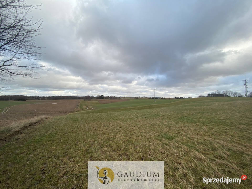 Działka w Pomieczyńskiej Hucie Pomieczyńska Huta