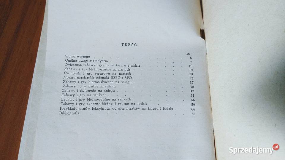Zabawy i gry ruchowe na śniegu i lodzie Albin Podręczniki Gdańsk sprzedam