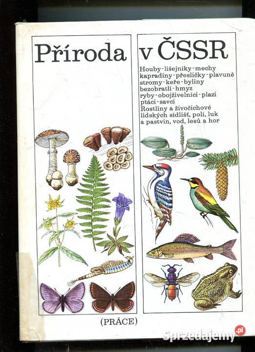 Priroda w CSSR Przyroda w Czechosłowacji zachodniopomorskie Szczecin sprzedam