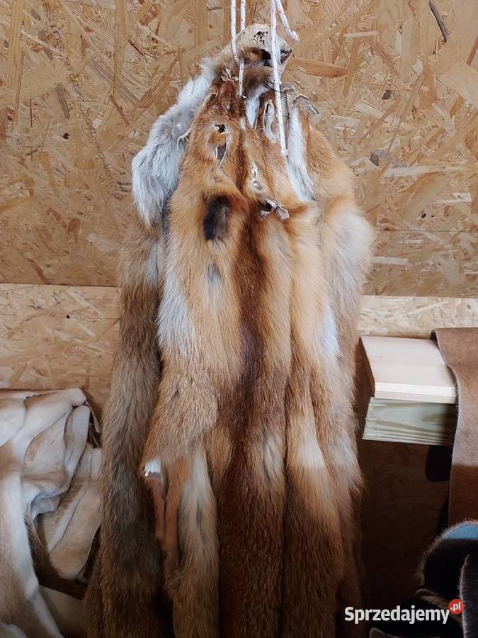 Skóra z Lisa Rudego Futro naturalne z Lisa Szaflary sprzedam