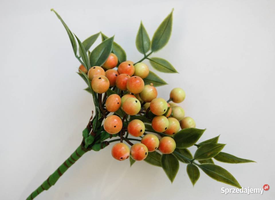 Gałązka ozdobna jarzębina 29 Lublin