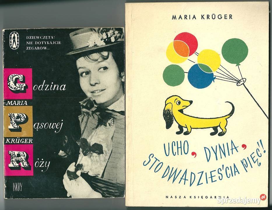 Godzina pąsowej róży Ucho dynia śledź sto Łódź sprzedam