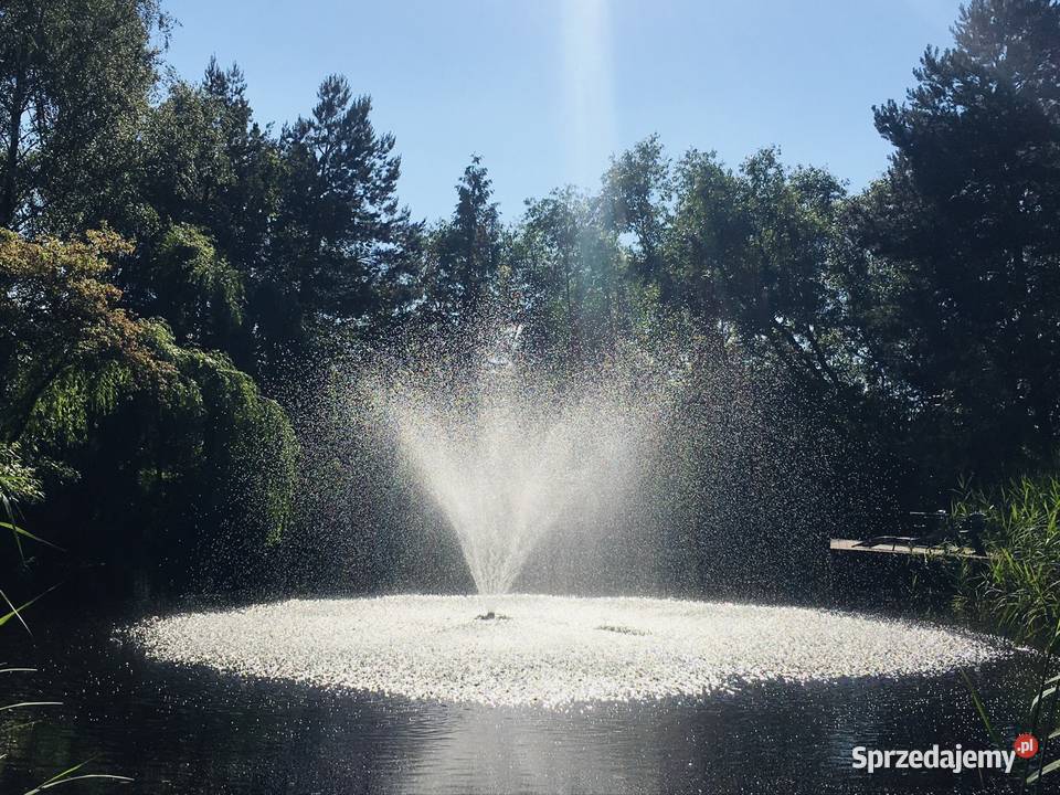 Fontanna do stawu pompa dysza fontannowa Fontanny i kaskady mazowieckie Raszyn sprzedam