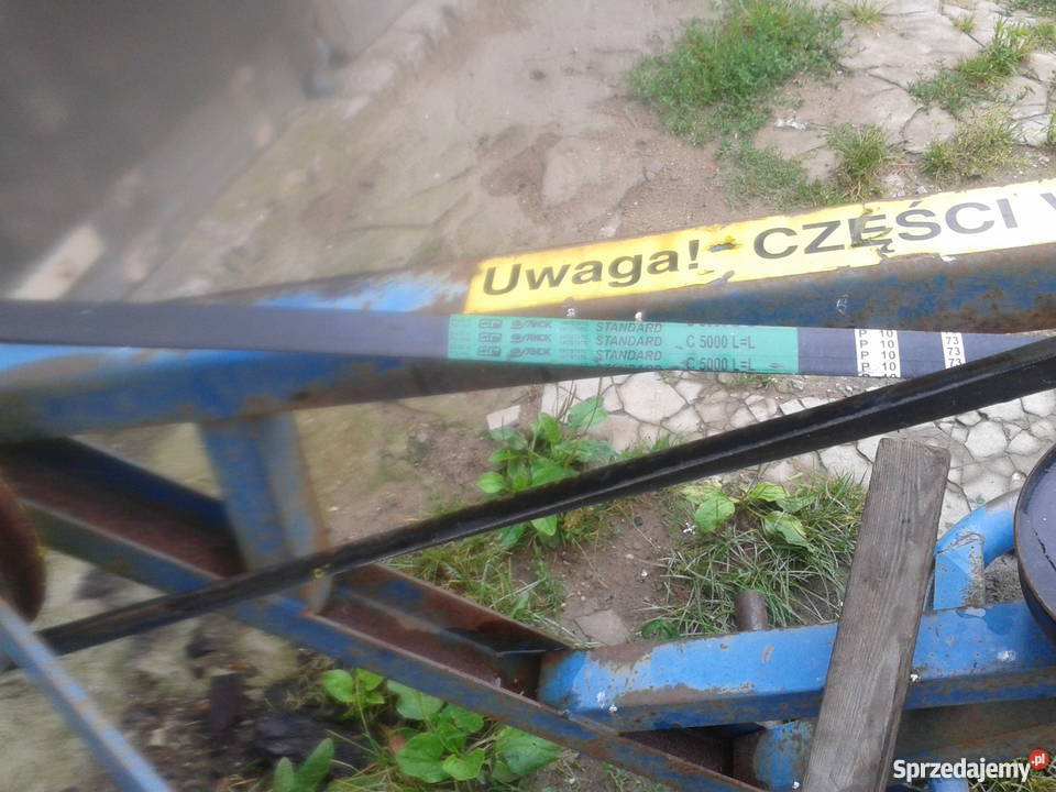 SPRZEDAM PAJĄKA nieuszkodzony Winnica