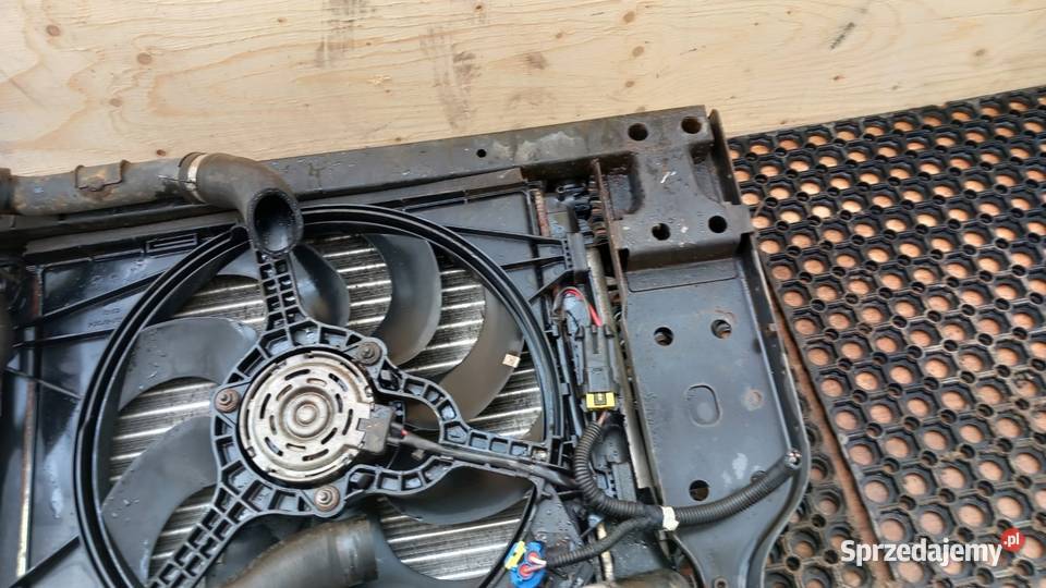 FORD KA MK2 13 TDCI PAS PRZEDNI KOMPLET Pasy przednie i tylne Zbierkowo