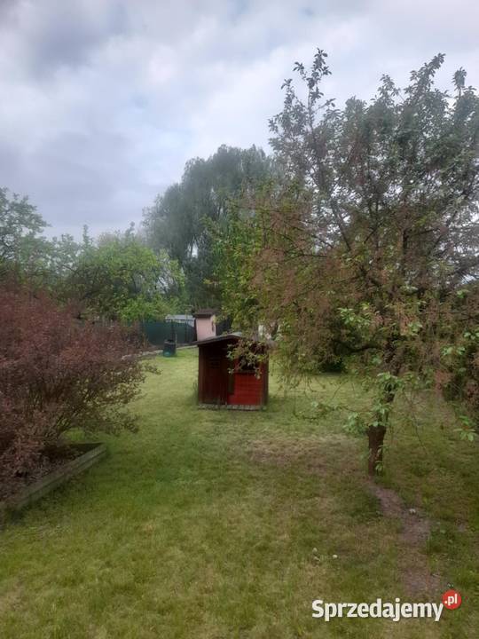 MIESZKANIE SPRZEDANE DZIAŁKA NADAL AKTUALNA Chełmża