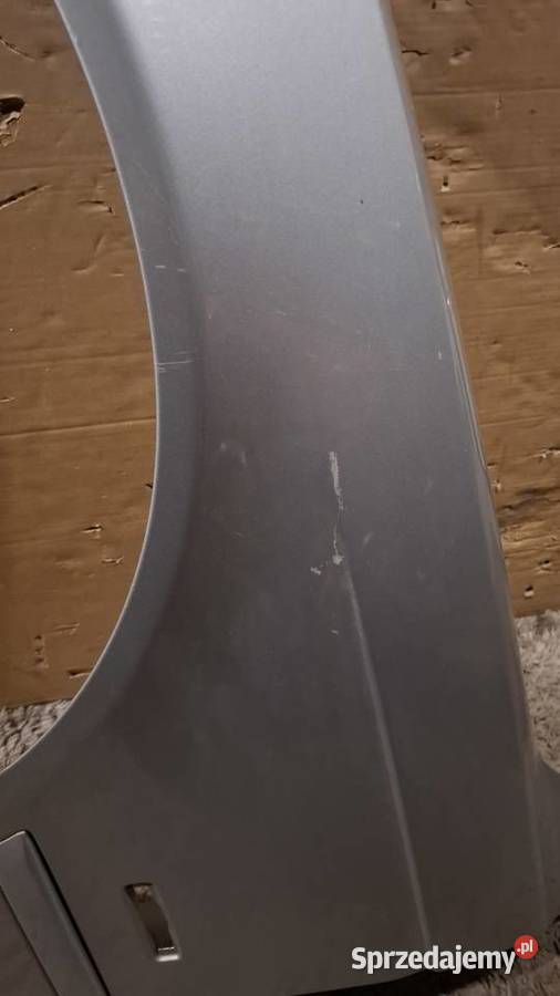 Blotnik lewy bmw e39 Krośnice