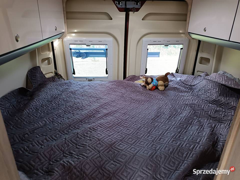 Kamper kampervan Clever Vans Celebration 600 Rok produkcji 2016 Gdańsk