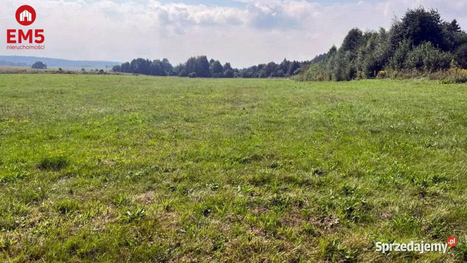 sprzedaży gruntu 2533m2 Wasilków