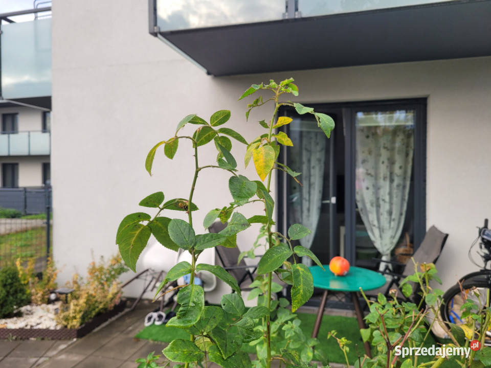 Na sprzedaż kawalerka Nieruchomości