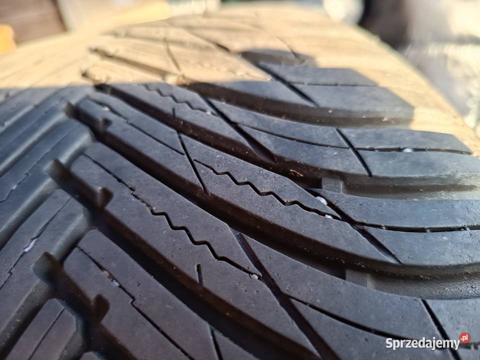 opoy całoroczne maxxis 23535 r19