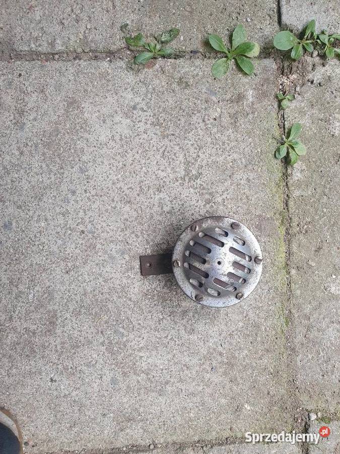 Żak ryś sygnał klakson Piła