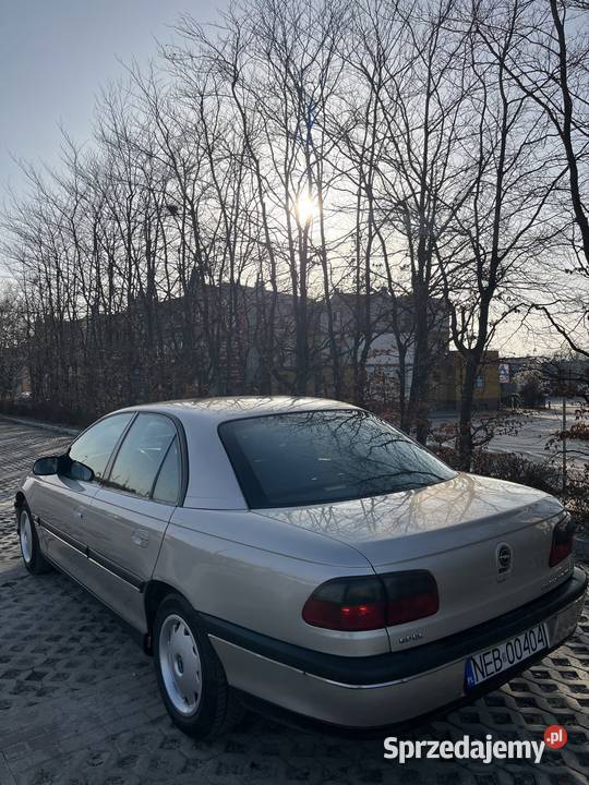 Opel Omega Kwidzyn