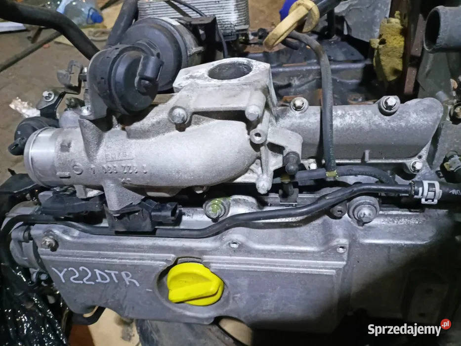 Kolektor ssący opel Vectra C signum 22dti osobowe Ratowice sprzedam