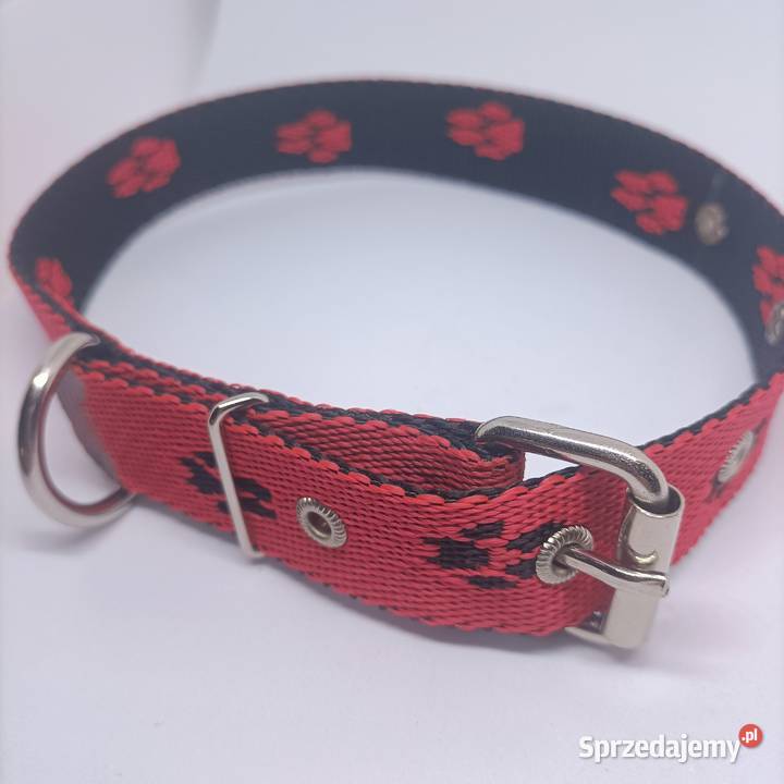 Obroża psa 25mm70 Gorzów Wielkopolski