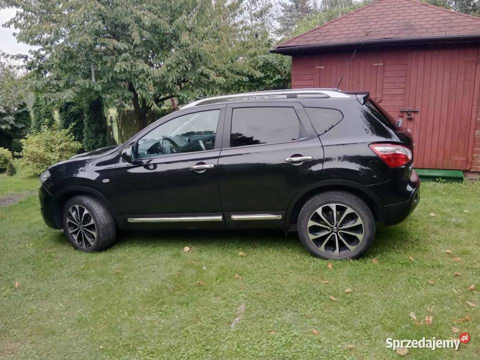 sprzedam qashqaia 16 Izbica Kujawska sprzedam