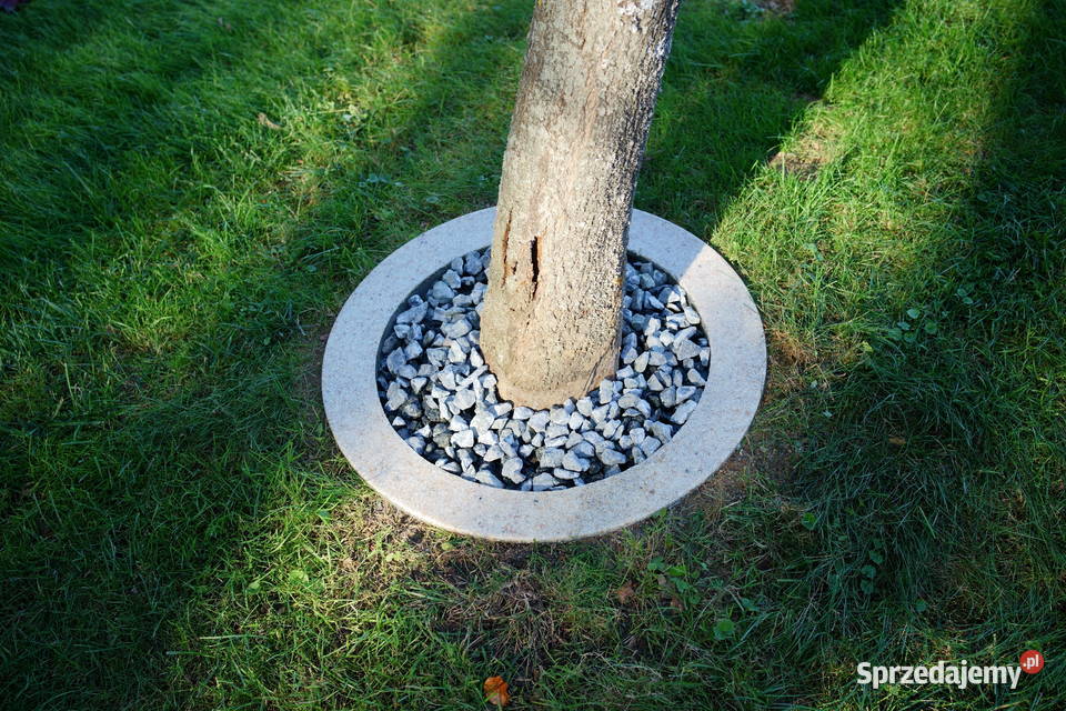 Obrzeże trawnikowe wokół drzew śr 70 podkarpackie Dębica