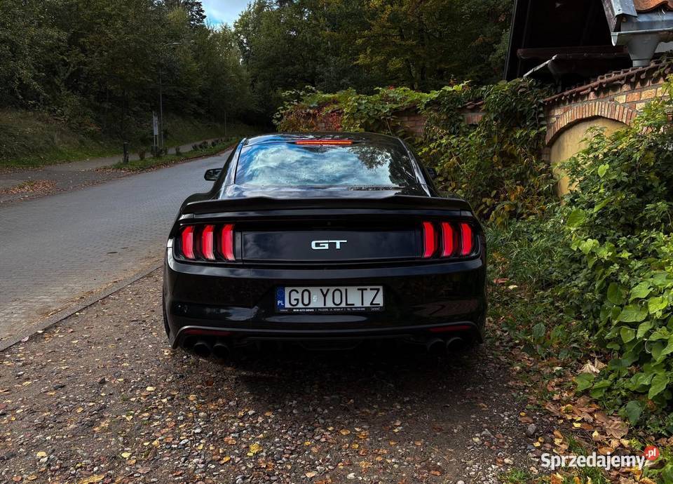 Ford Mustang GT 50 V8 Manual 2016 5000cm3 Gdańsk