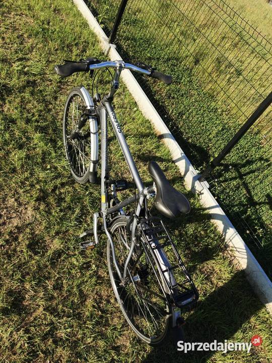 Rower Pegazus Solero