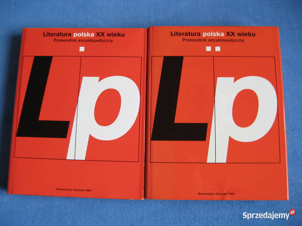 Literarura polska XX wieku Przewodnik Rok wydania 2000 wielkopolskie Poznań