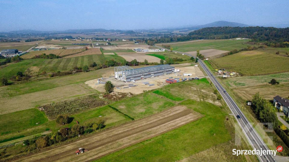 Grunt 3000m2 Czerteż budowlana