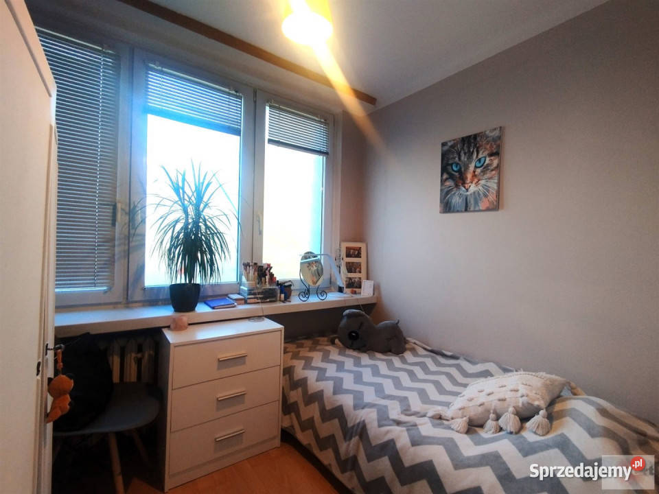 Do wynajęcia mieszkanie Łódź 535m2 3 pokoje Rok budowy 1960 sprzedam