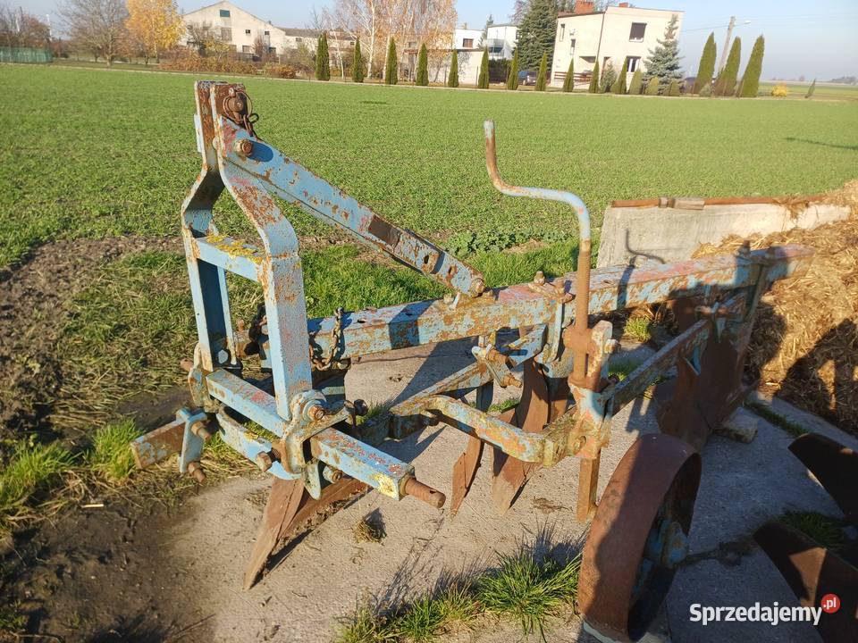 Plug 3 skibowy Września