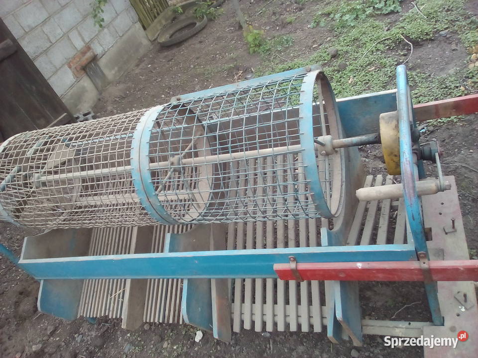 Sortownik do ziemniaków Strzałkowo