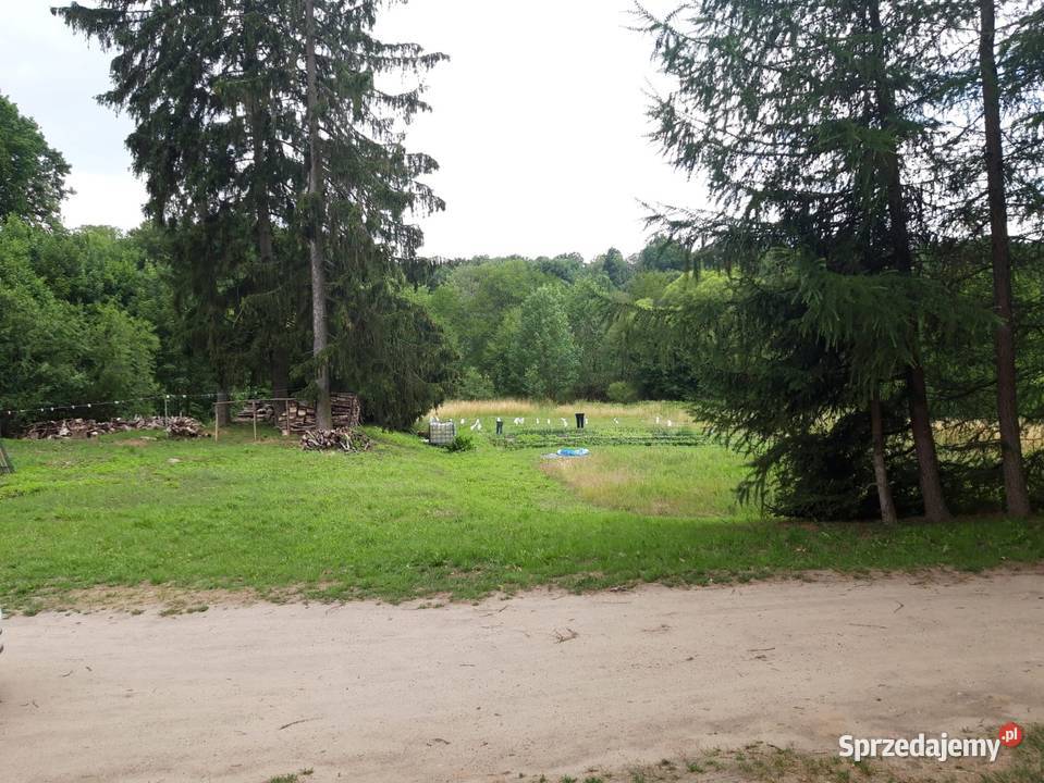 Działka budowlana z dostępem do rzeki Lipie