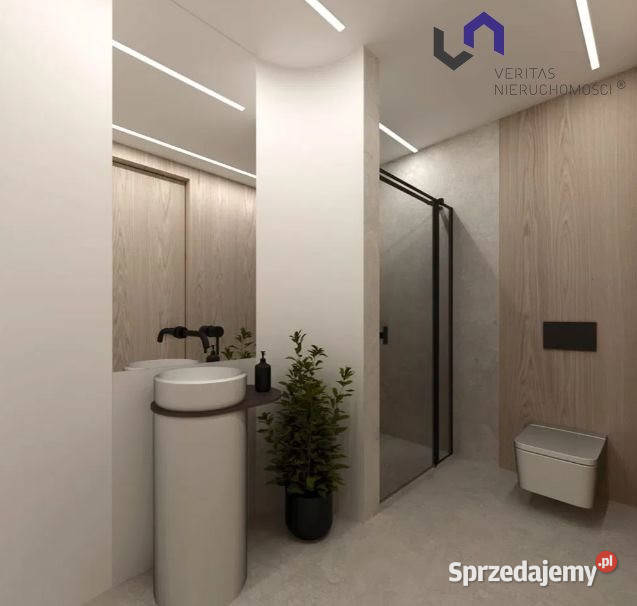 Dom wolnostojący Katowice 300m2 śląskie