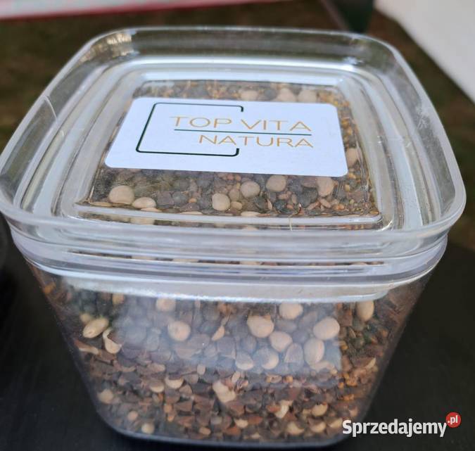 Top Vita Natura mieszanka poplonowa Top Farms wielkopolskie