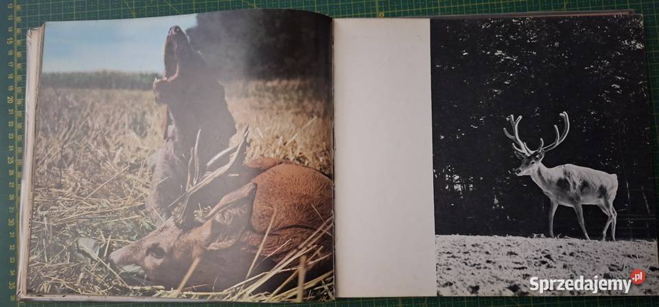 Na łowy Zdzisław Wdowiński Kraków