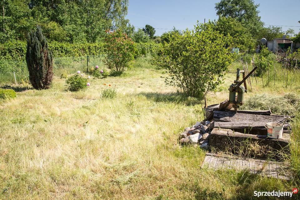 Sprzedam działkę rekreacyjną w Kamieńcu 16zł/m2 Grunty i działki Kamieniec Wrocławski
