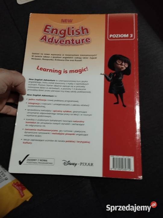english adventure zeszyt ćwiczeń wydanie angielski Poznań