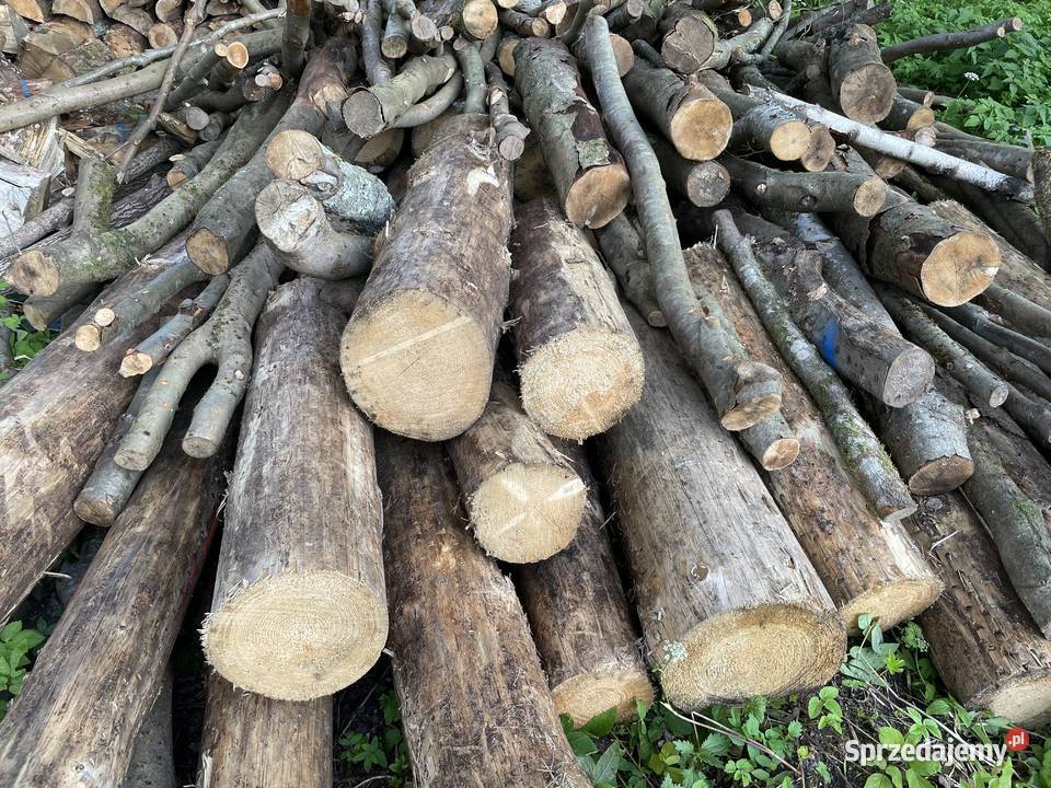 Drewno Opałowe Buk Dąb Sosna Świerk zachodniopomorskie