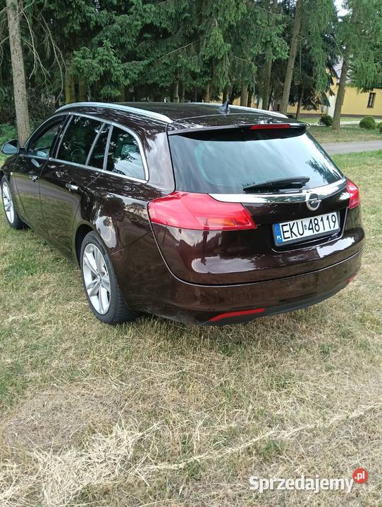 Opel Insignia 20CDTI 160 Salon Polska Chrosno