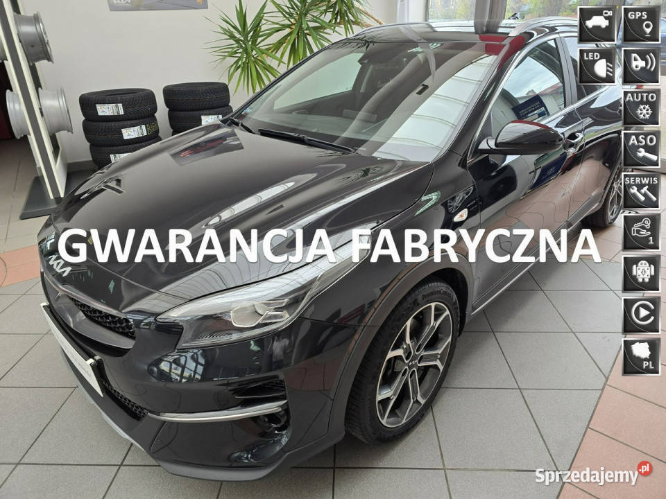 Kia XCeed XCEED 15TGDI Krajowy Pierwszy 50024km XCeed Tarnów