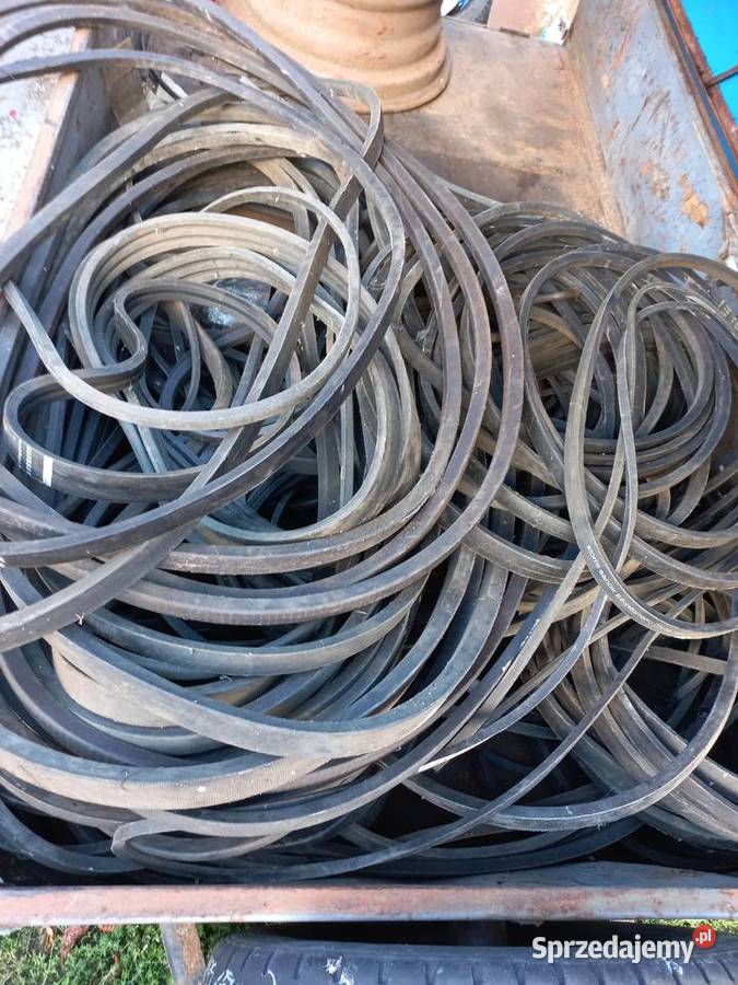 Paski do kombajnu bizon Bizon wielkopolskie Wieleń