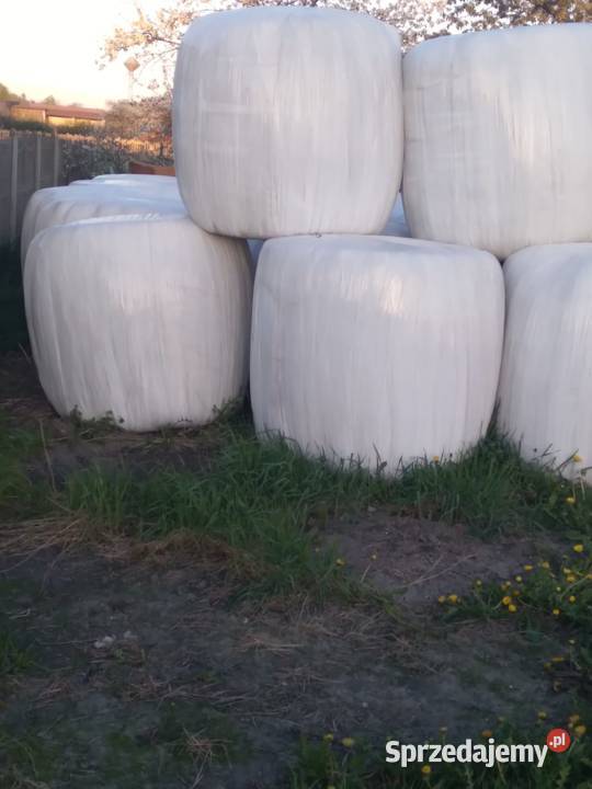 Kiszonka z trawy w balotach Karma i Pasza łódzkie Wola Malowana