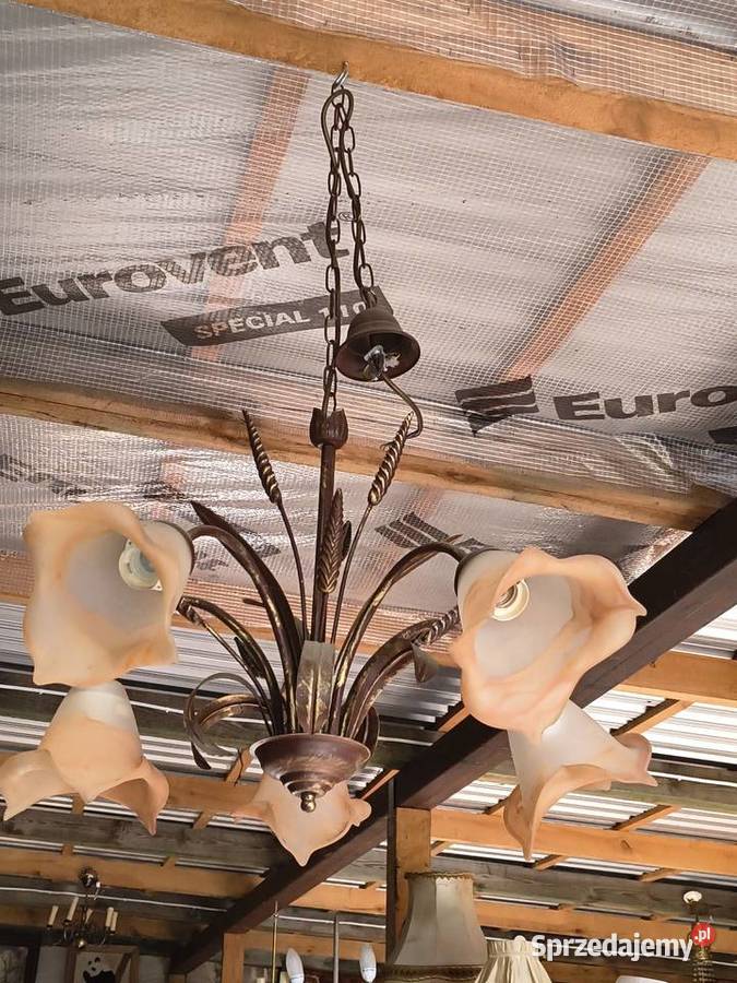 Żyrandol duży wybór Chorzew